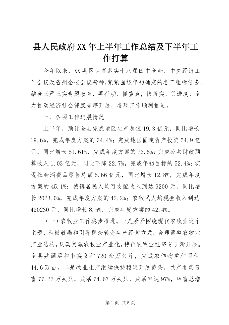 2023年县人民政府上半年工作总结及下半年工作打算.docx_第1页