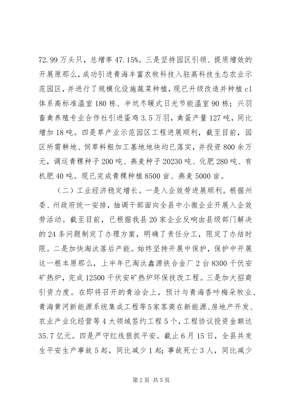 2023年县人民政府上半年工作总结及下半年工作打算.docx_第2页