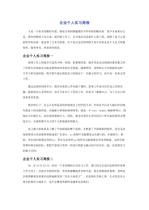 2023年企业个人实习周报.docx