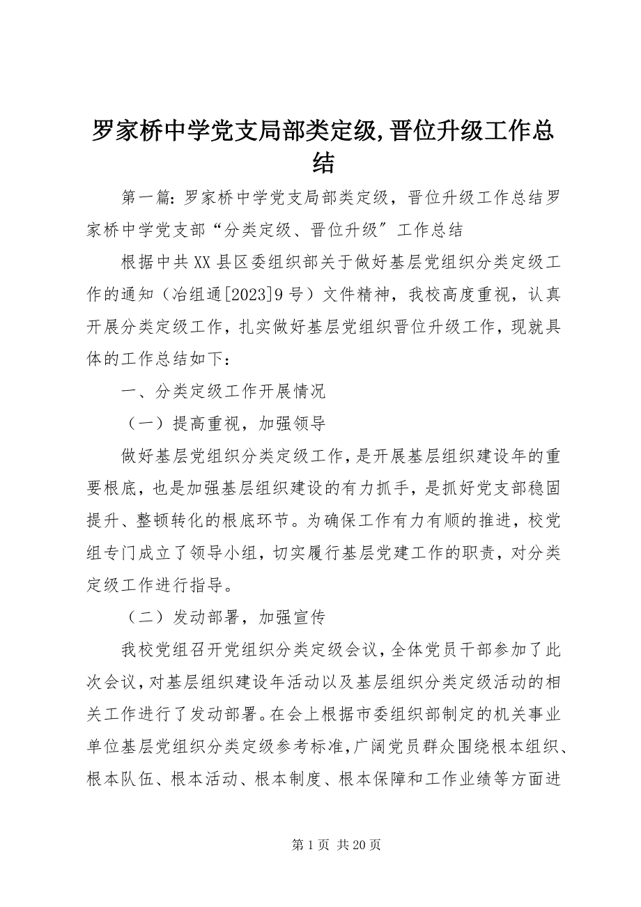 2023年罗家桥中学党支部分类定级晋位升级工作总结.docx_第1页