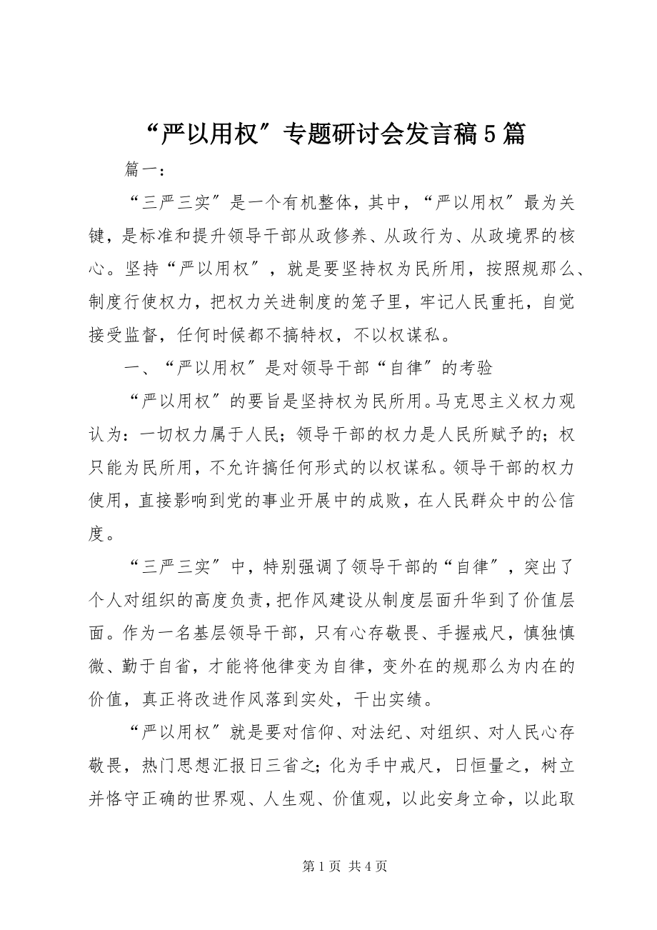 2023年严以用权专题研讨会讲话稿篇.docx_第1页