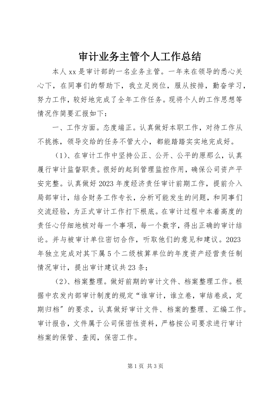 2023年审计业务主管个人工作总结.docx_第1页