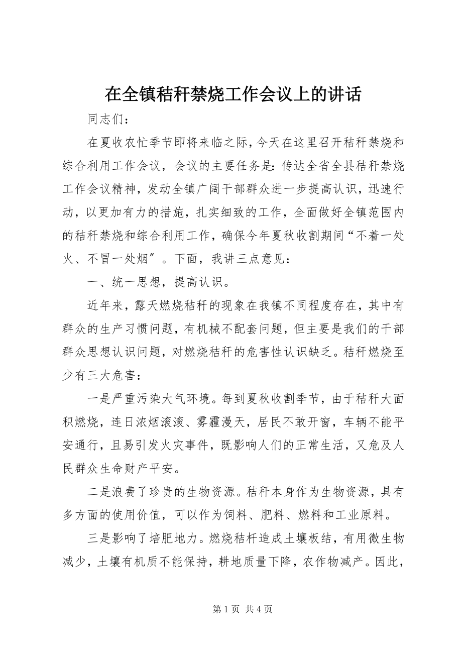 2023年在全镇秸秆禁烧工作会议上的致辞.docx_第1页