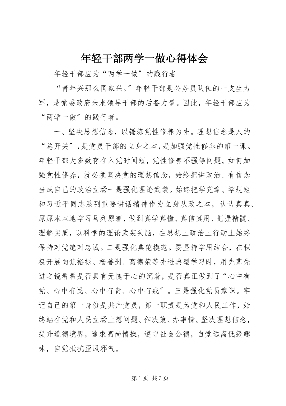 2023年轻干部两学一做心得体会.docx_第1页