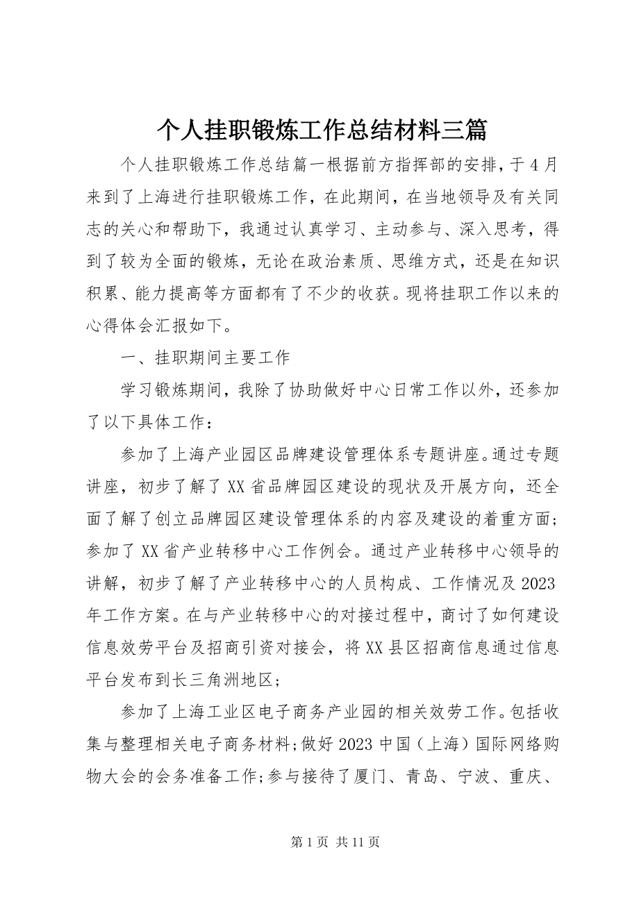 2023年个人挂职锻炼工作总结材料三篇.docx_第1页