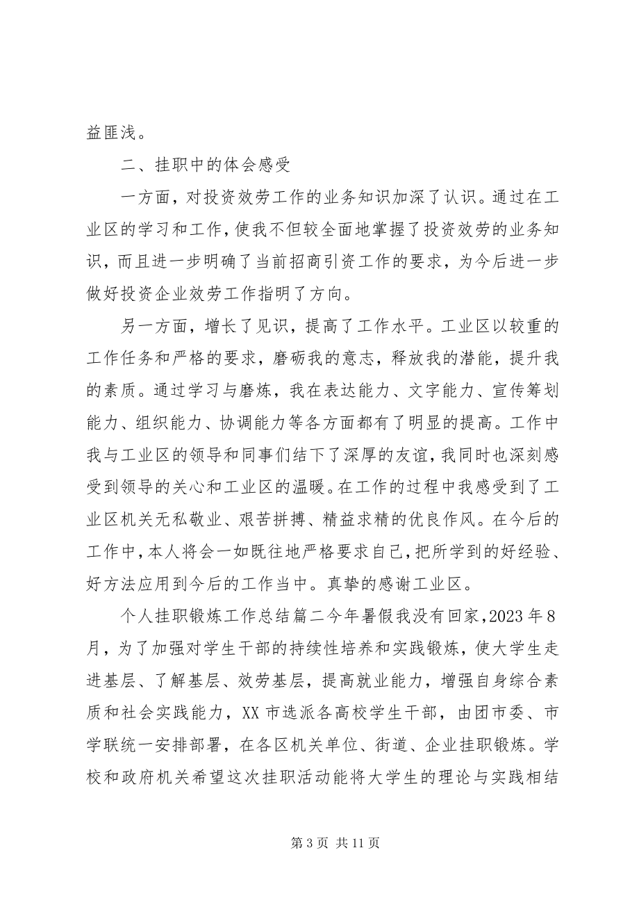 2023年个人挂职锻炼工作总结材料三篇.docx_第3页