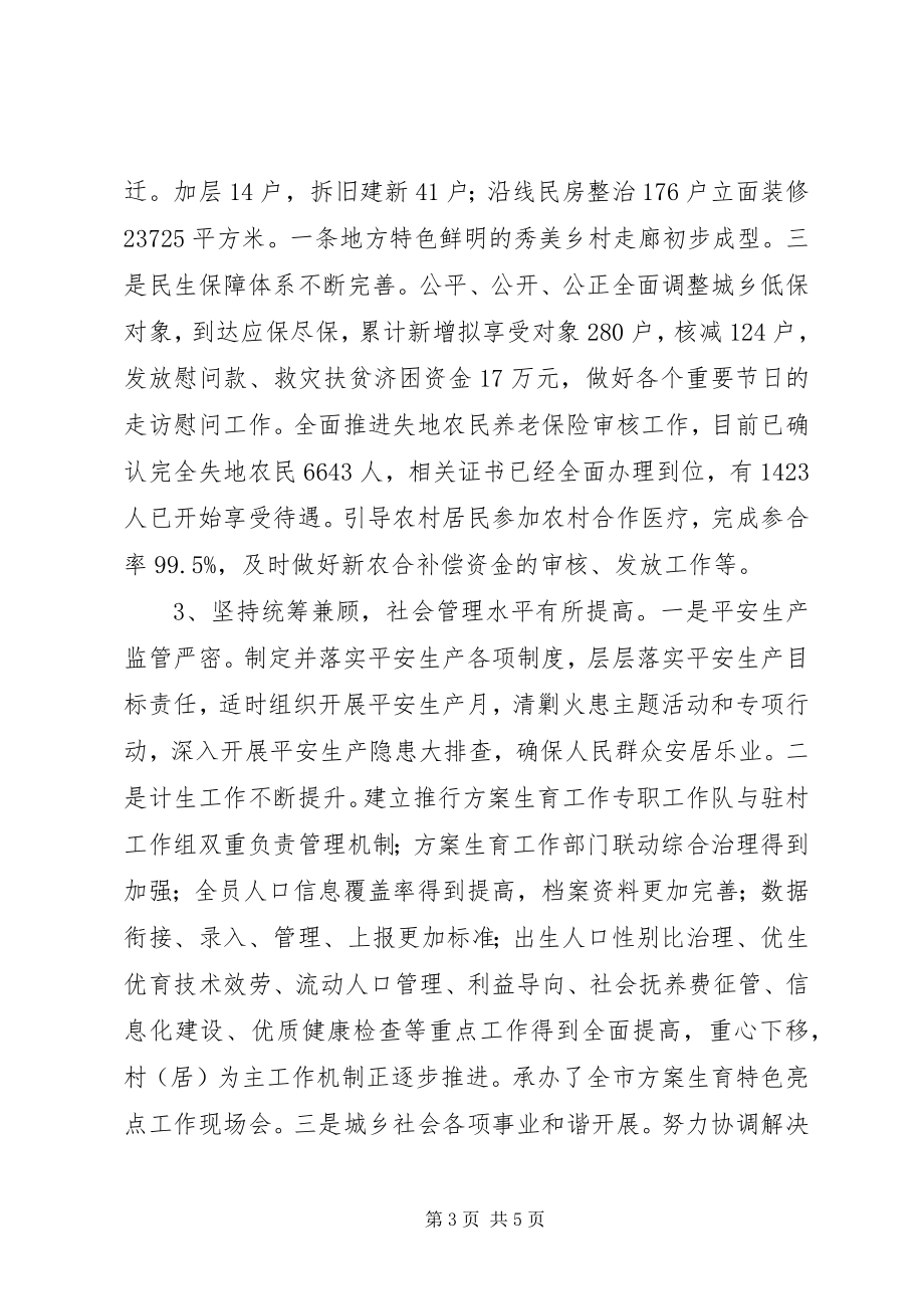 2023年乡镇党政办工作汇报.docx_第3页