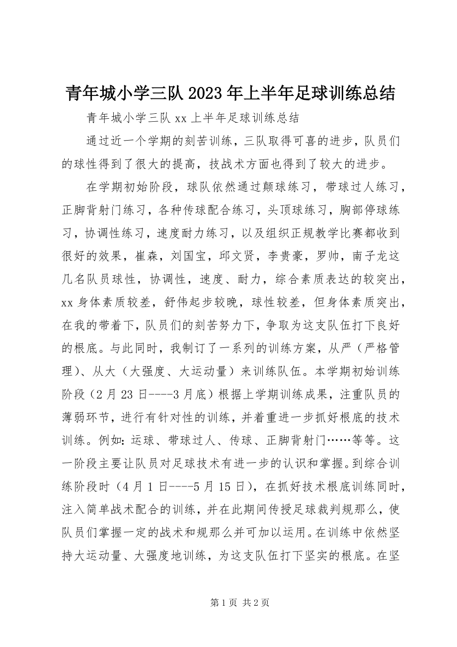 2023年青年城小学三队上半年足球训练总结.docx_第1页