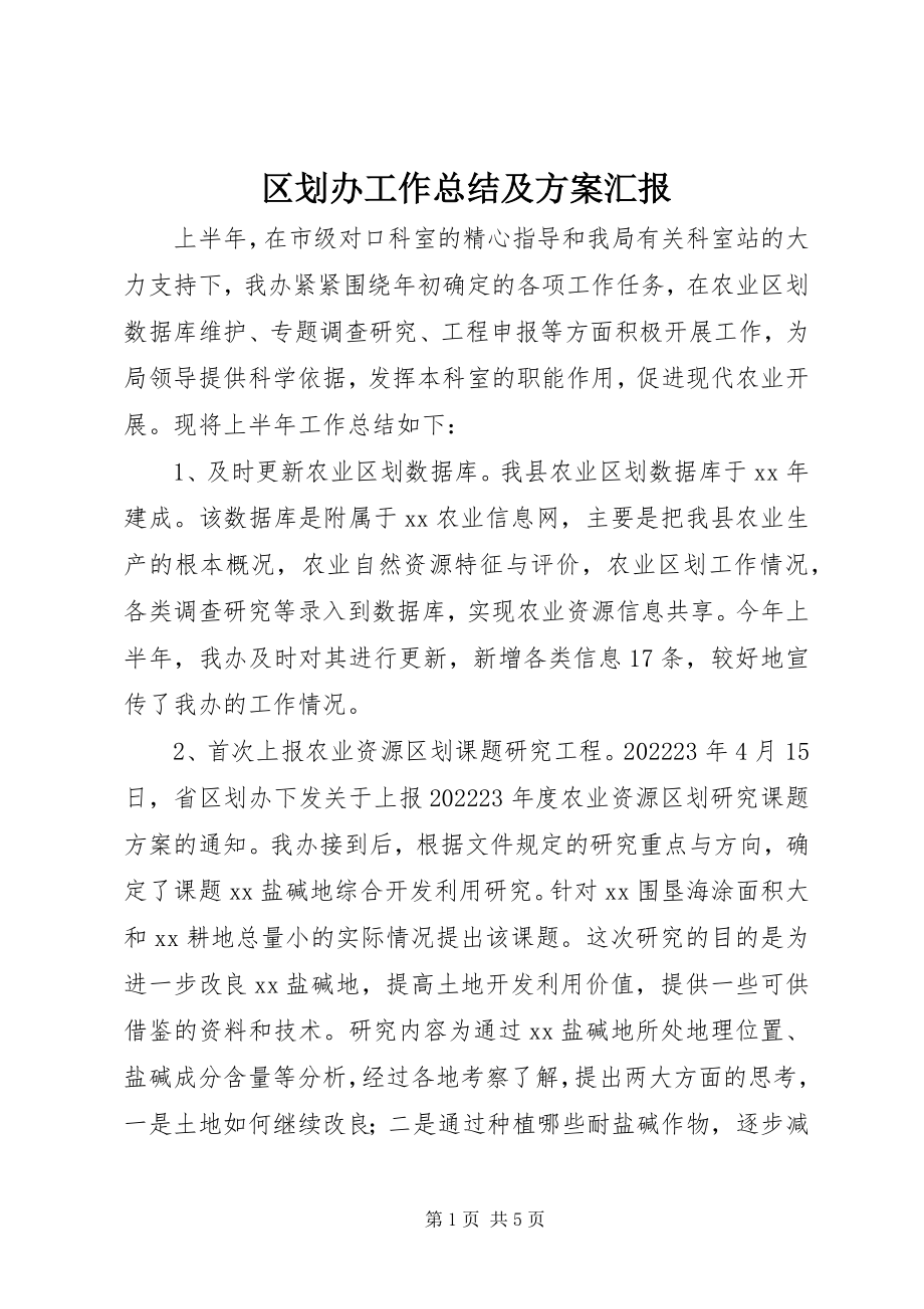 2023年区划办工作总结及计划汇报.docx_第1页