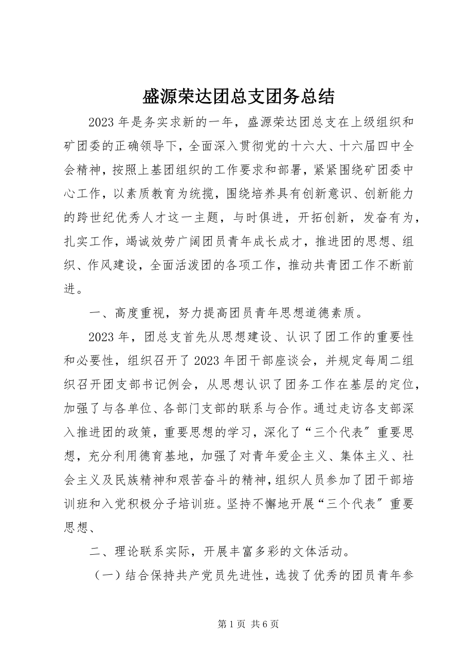 2023年盛源荣达团总支团务总结.docx_第1页