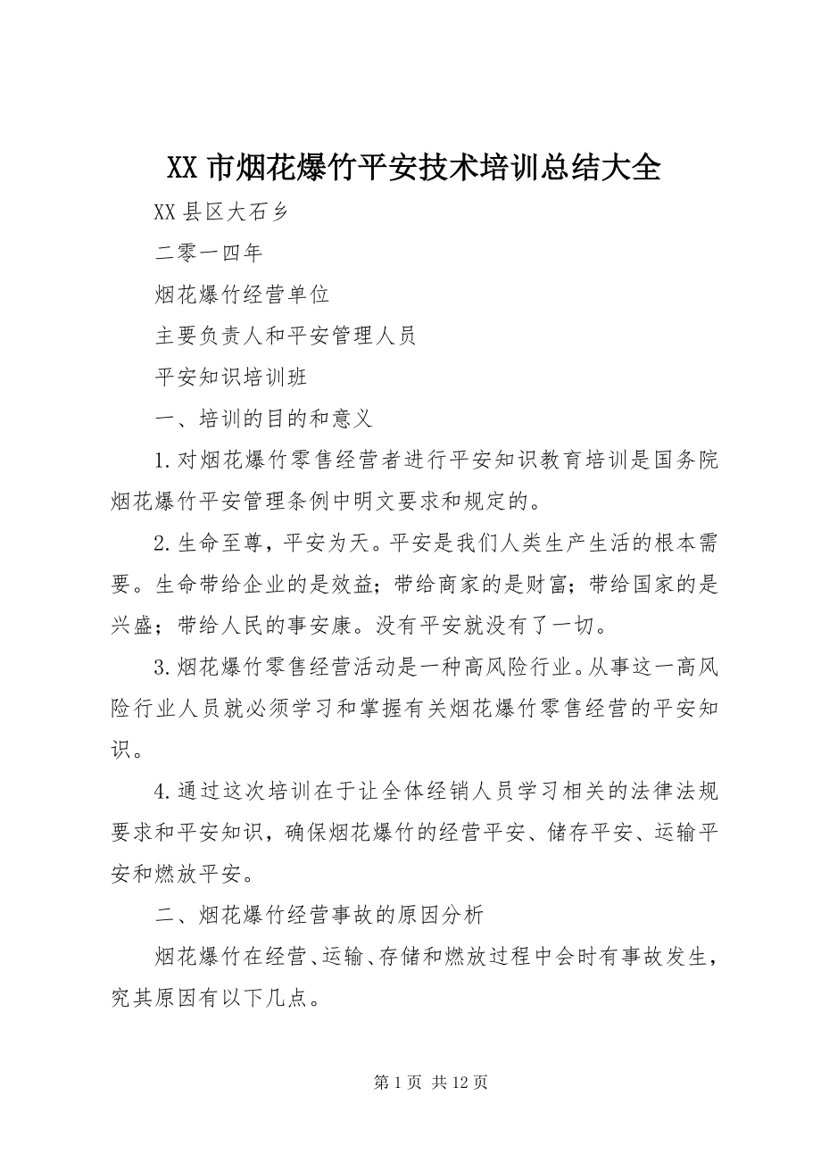 2023年XX市烟花爆竹安全技术培训总结大全新编.docx_第1页