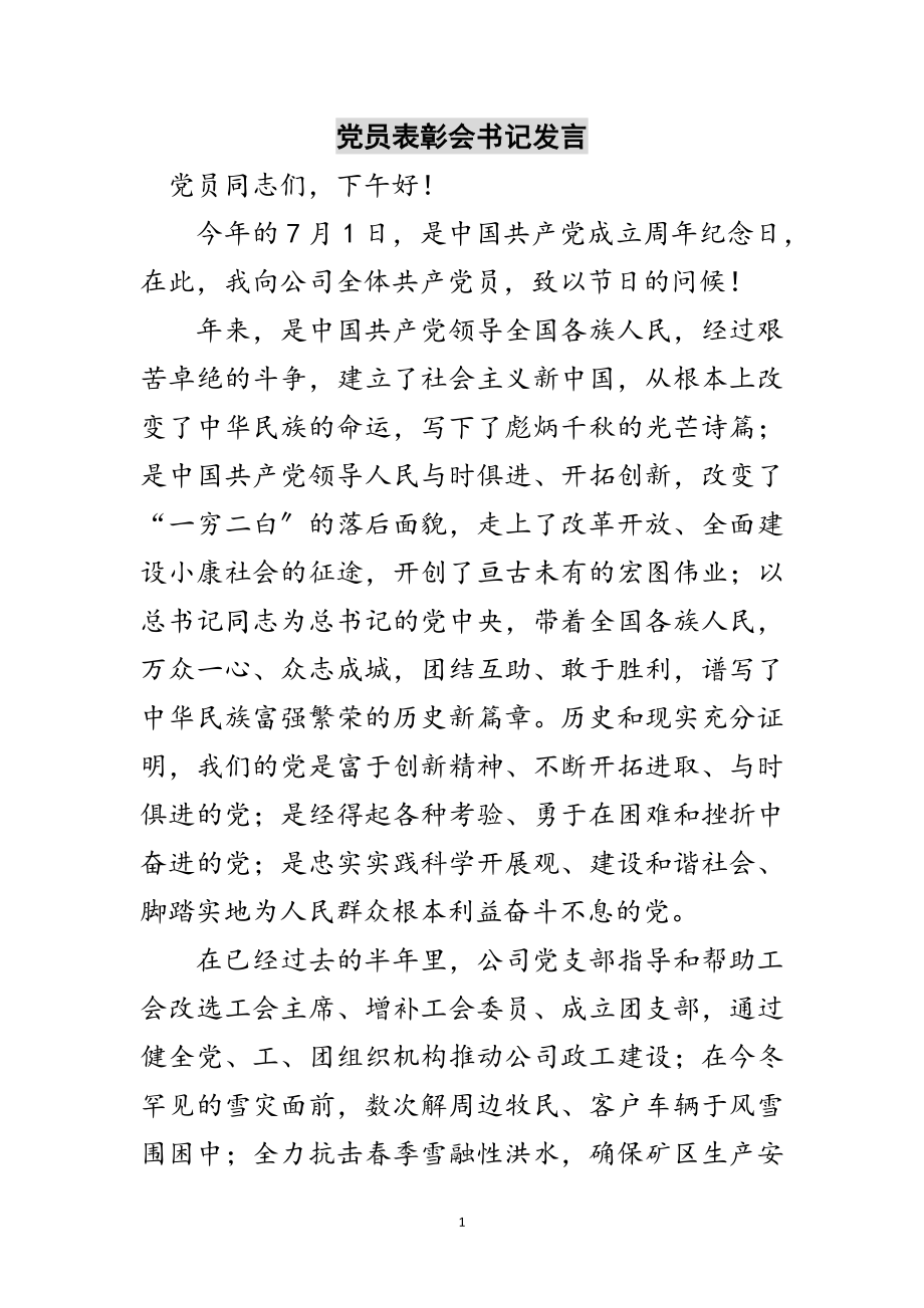 2023年党员表彰会书记发言范文.doc_第1页