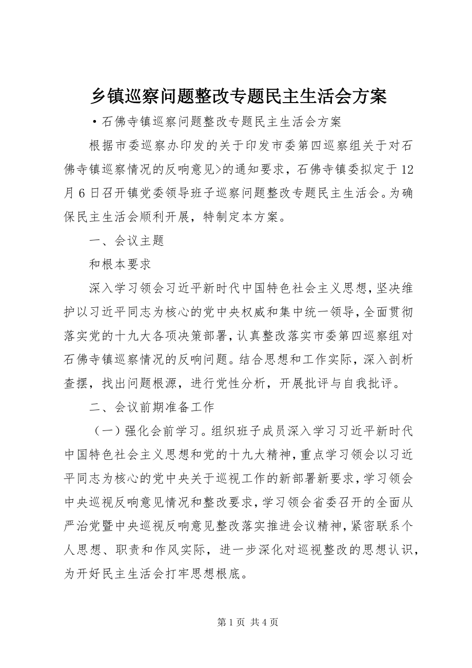 2023年乡镇巡察问题整改专题民主生活会方案.docx_第1页