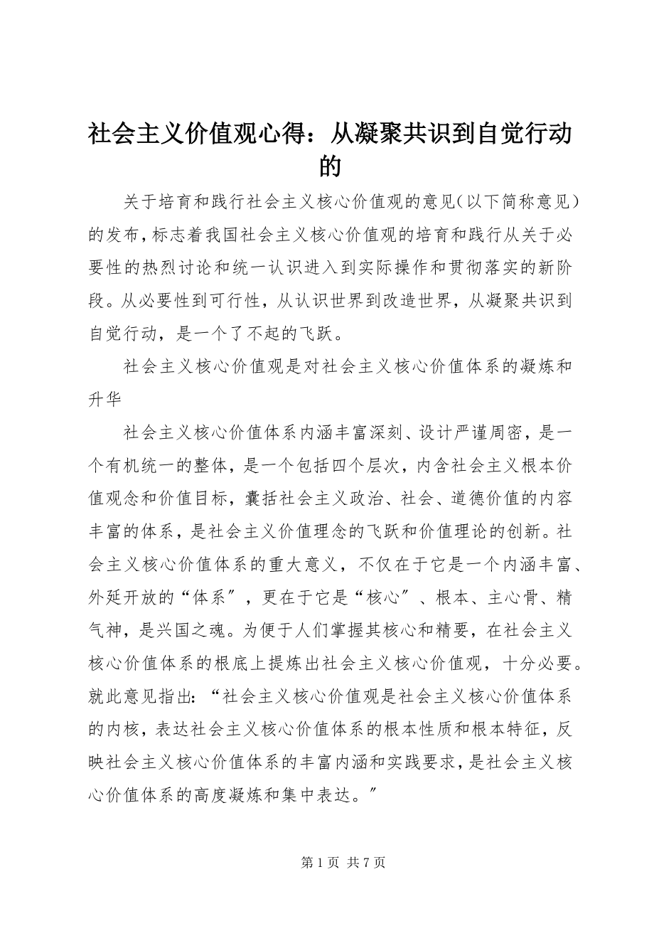 2023年社会主义价值观心得从凝聚共识到自觉行动的.docx_第1页