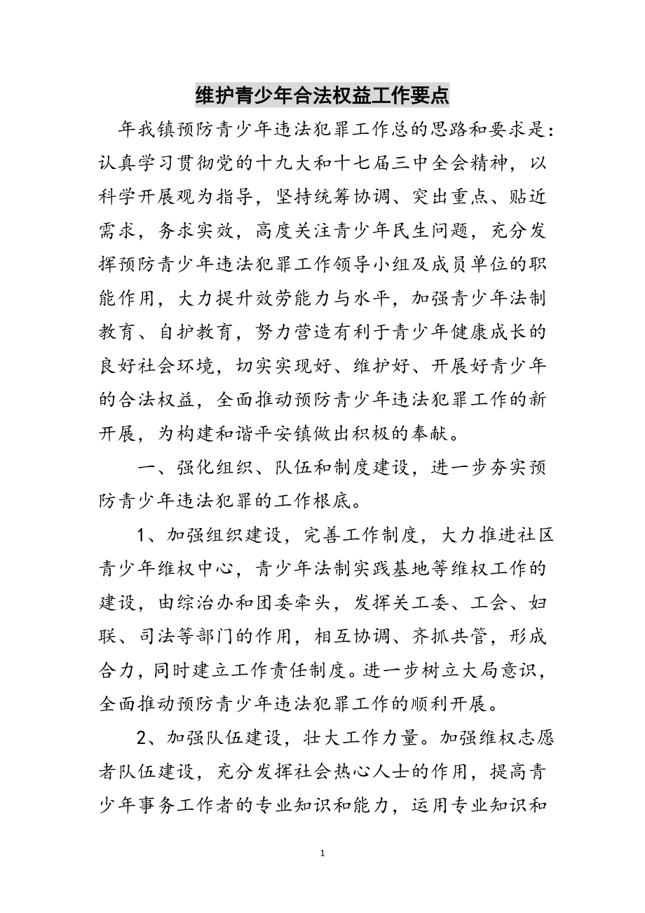 2023年维护青少年合法权益工作要点范文.doc_第1页