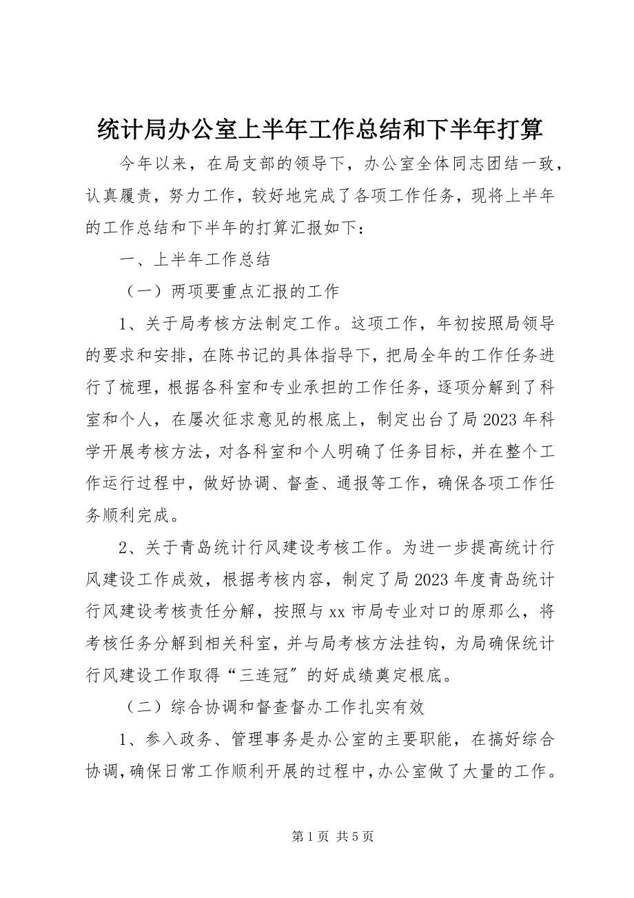 2023年统计局办公室上半年工作总结和下半年打算.docx_第1页