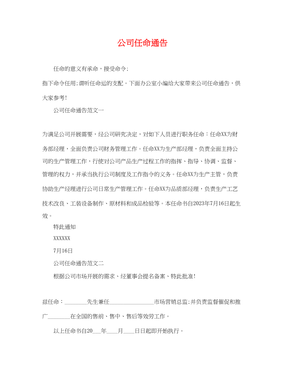 2023年公司任命通告.docx_第1页