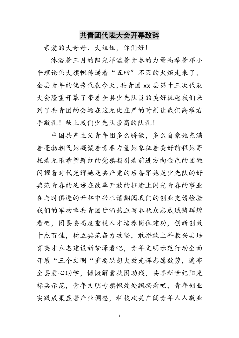 2023年共青团代表大会开幕致辞范文.doc_第1页