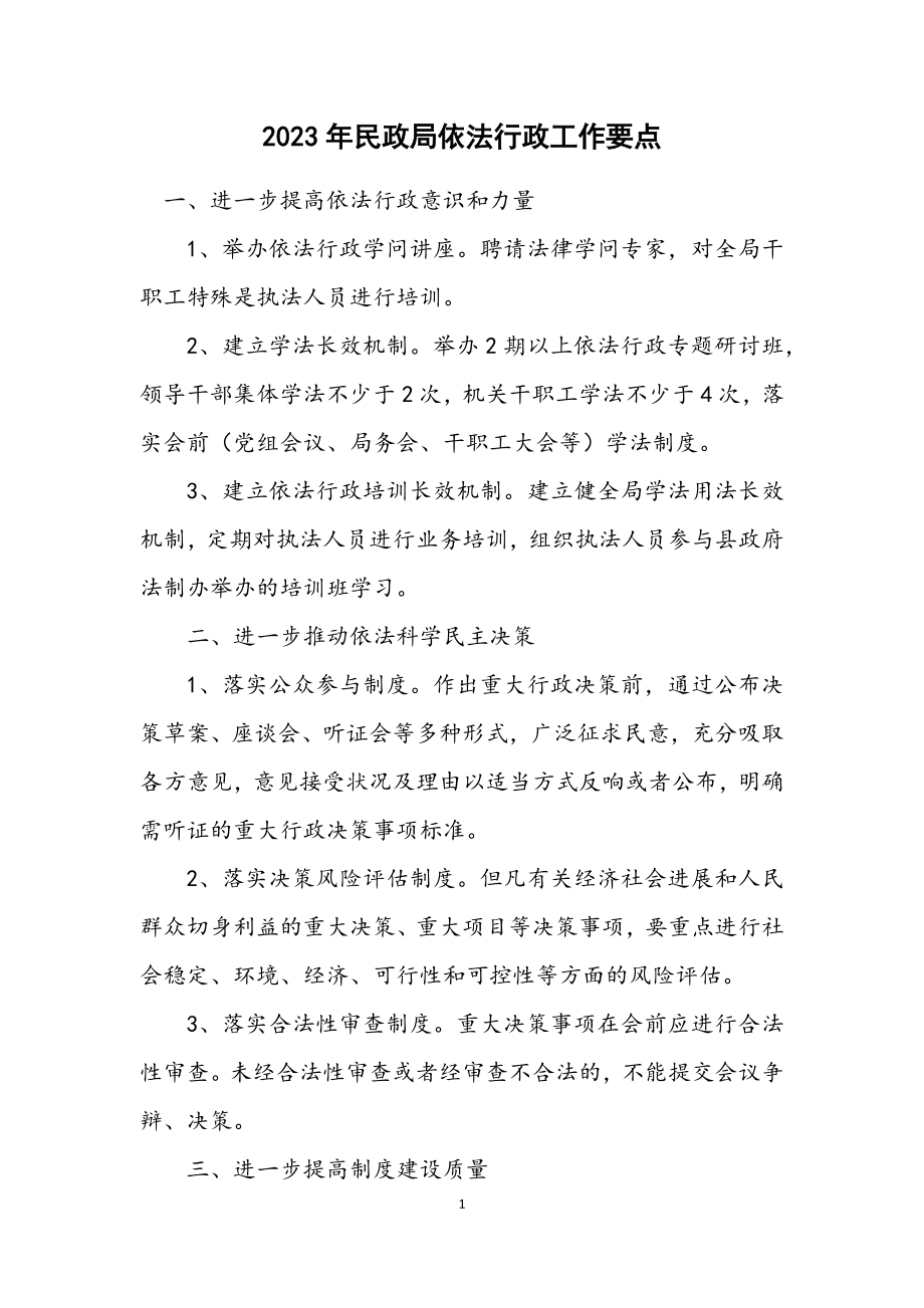 2023年民政局依法行政工作要点.docx_第1页