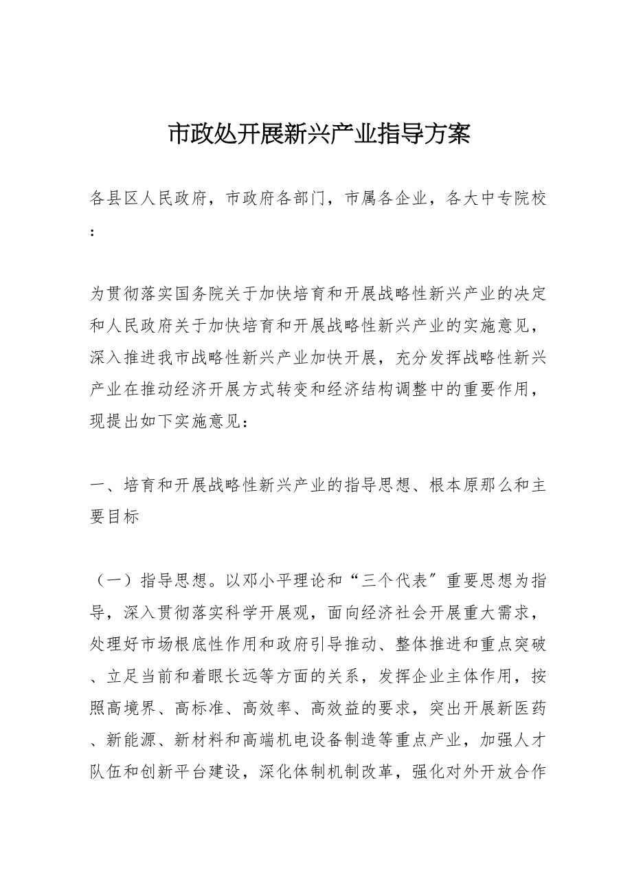 2023年市政处发展新兴产业指导方案.doc_第1页