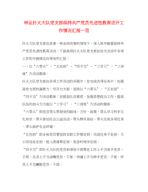 2023年林业扑火大队党支部保持共产党员先进性教育活动工作情况汇报—范.docx