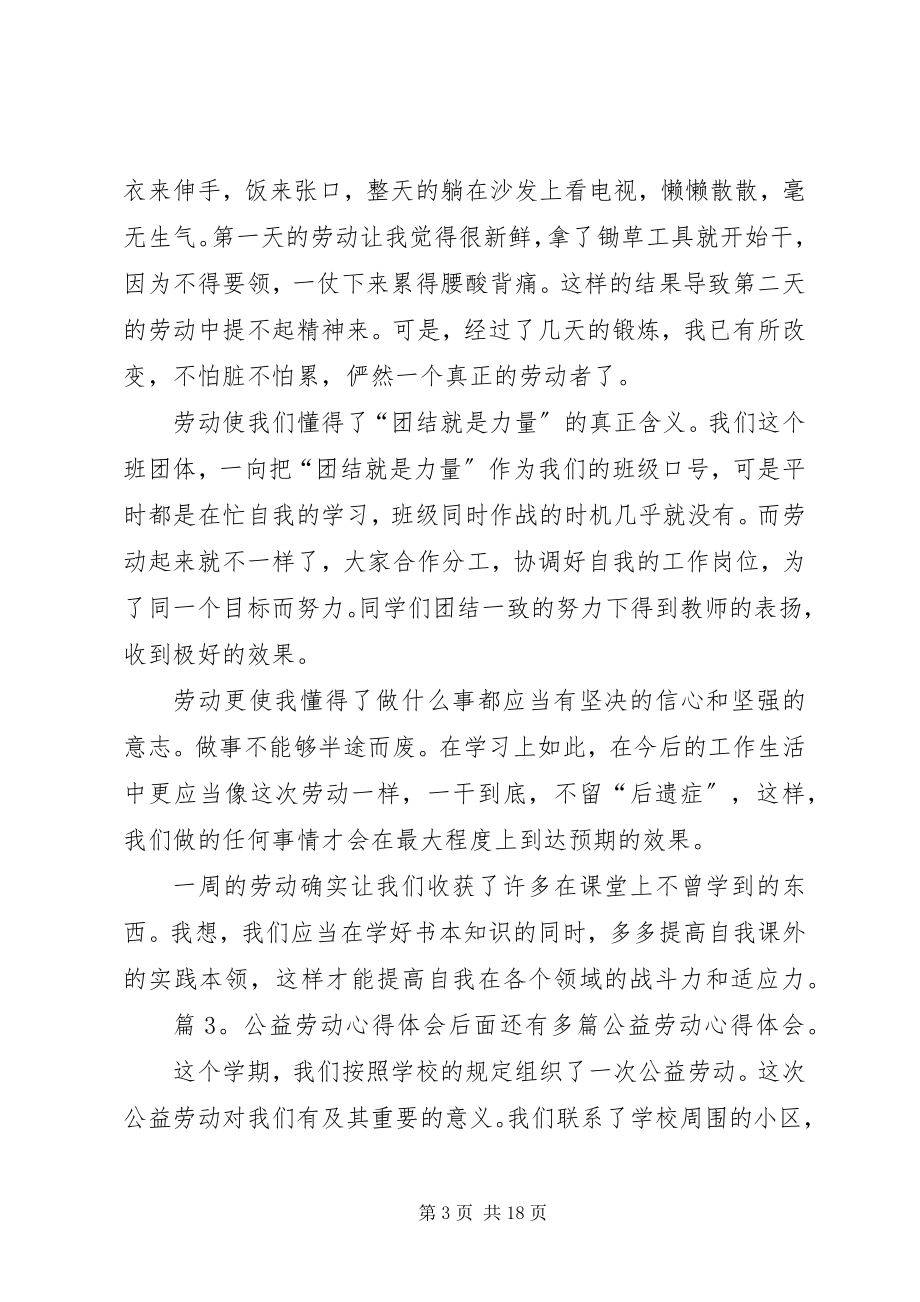 2023年公益劳动心得体会汇总15篇.docx_第3页