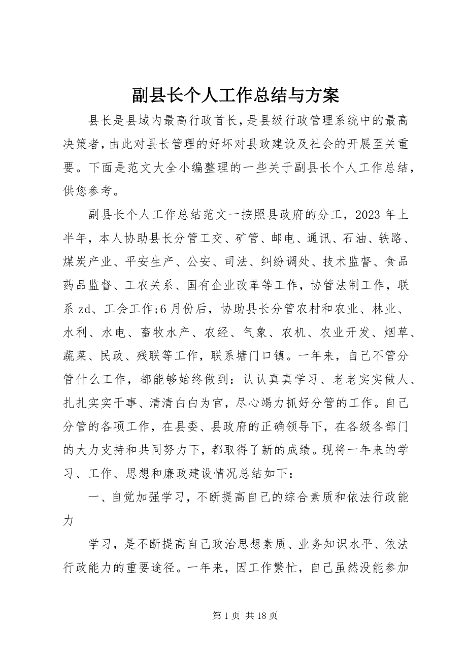 2023年副县长个人工作总结与计划.docx_第1页