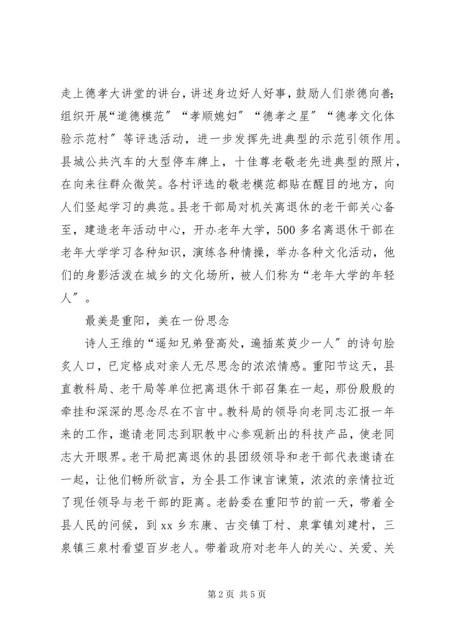 2023年老龄委敬老月活动总结.docx_第2页