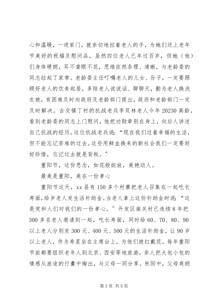 2023年老龄委敬老月活动总结.docx_第3页