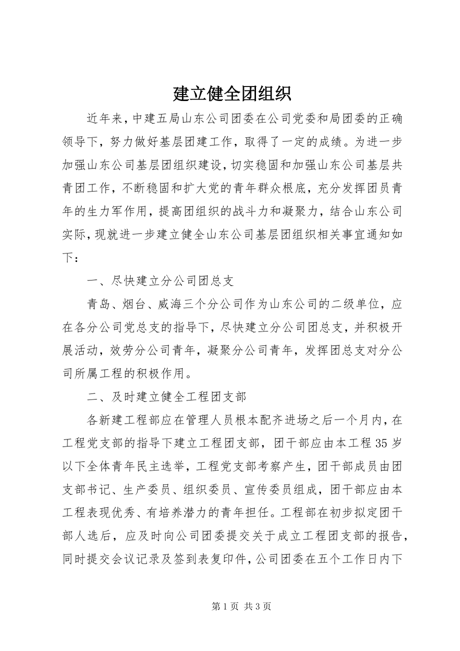 2023年建立健全团组织.docx_第1页