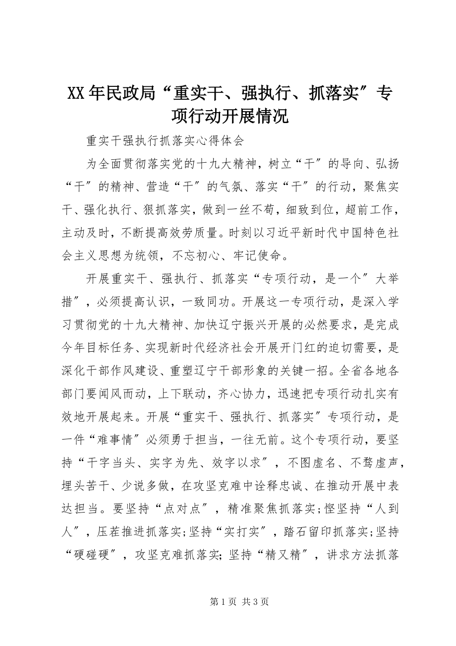 2023年民政局“重实干、强执行、抓落实”专项行动开展情况.docx_第1页