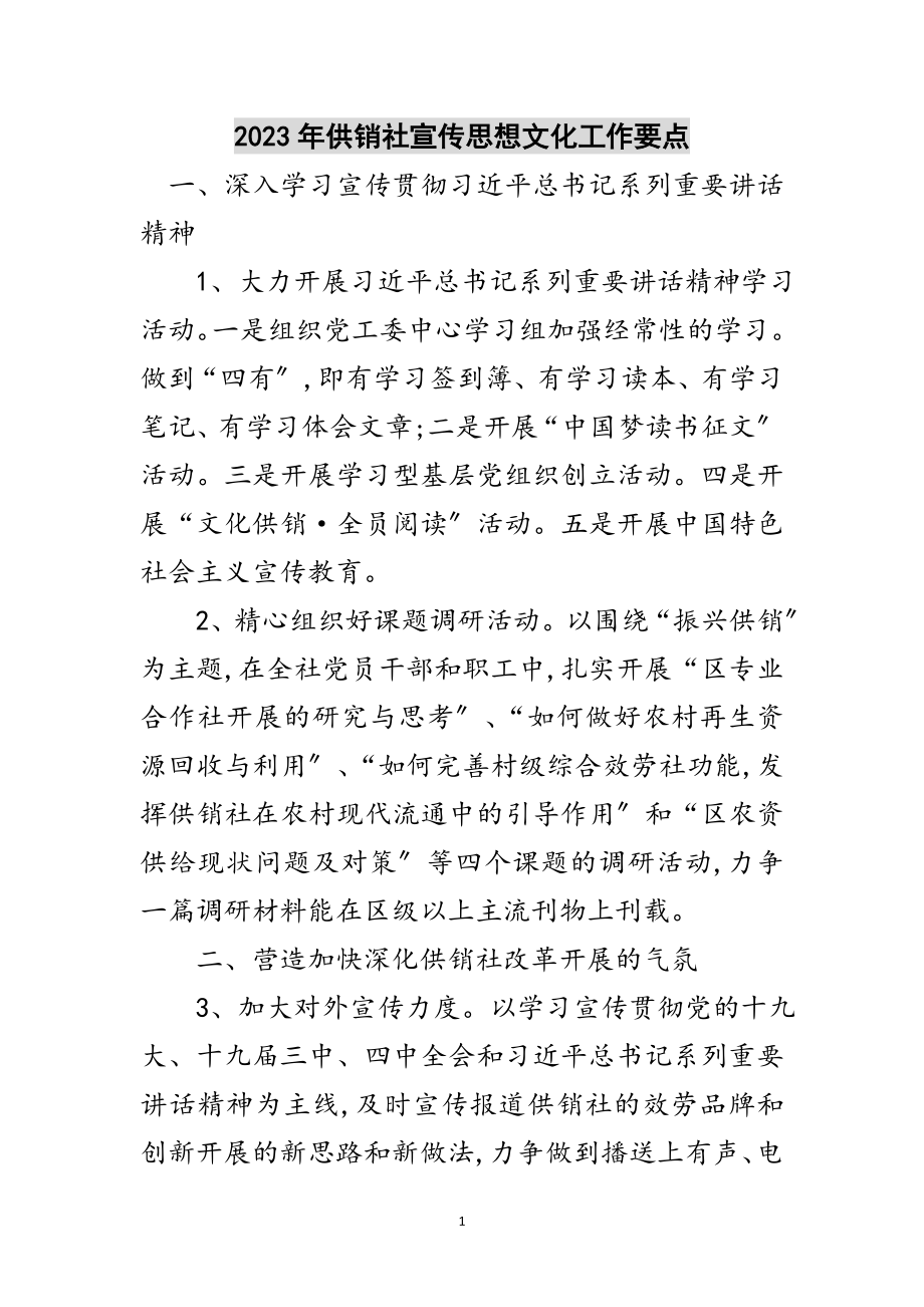 2023年年供销社宣传思想文化工作要点范文.doc_第1页