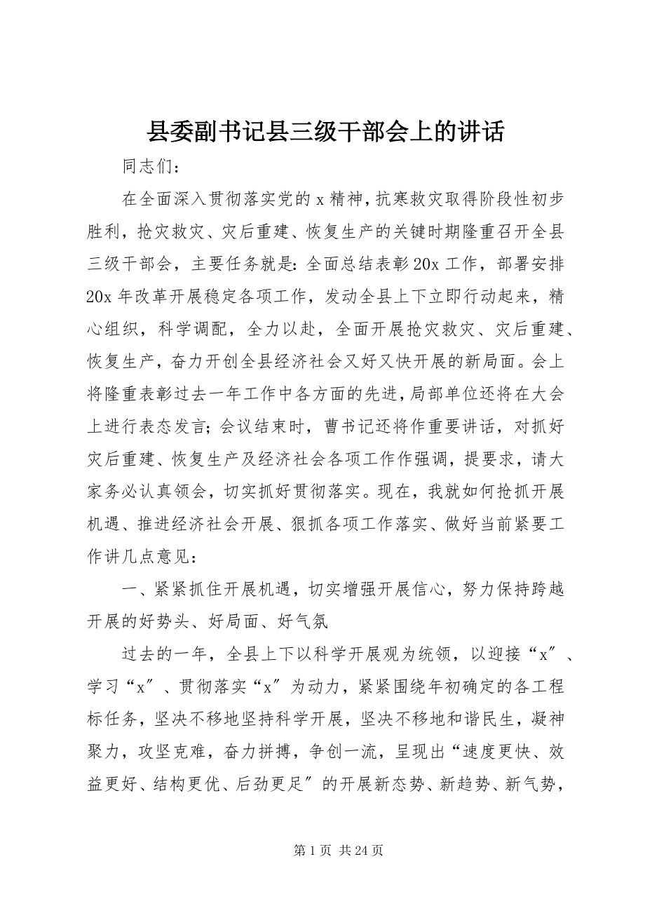 2023年县委副书记县三级干部会上的致辞.docx_第1页