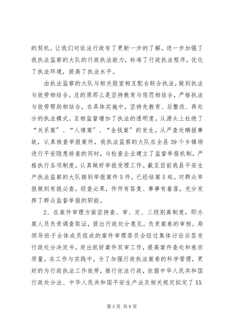 2023年安全生产执法监察的大队工作总结新编.docx_第3页