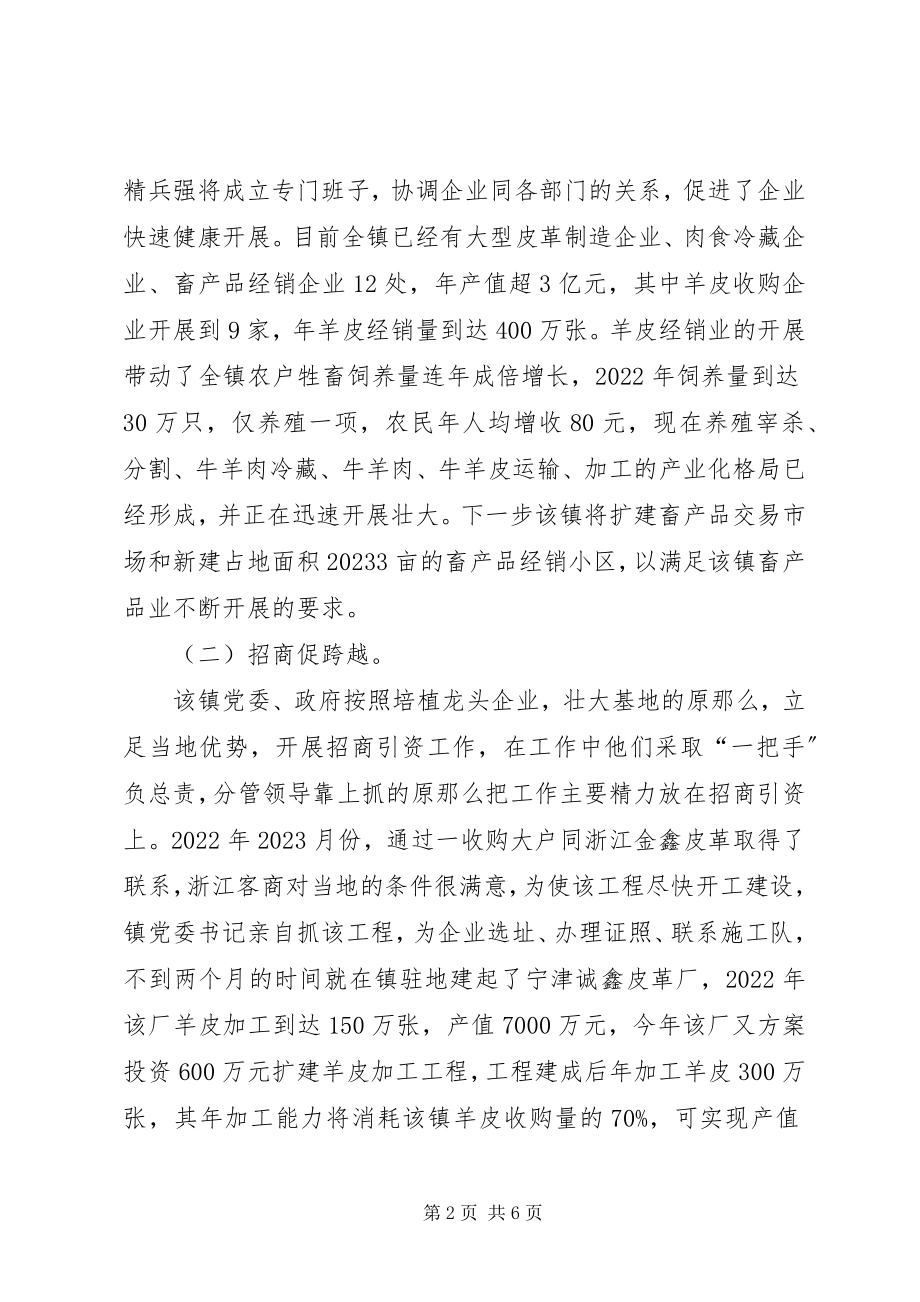 2023年对立足资源优势发展镇域经济的调查与思考.docx_第2页