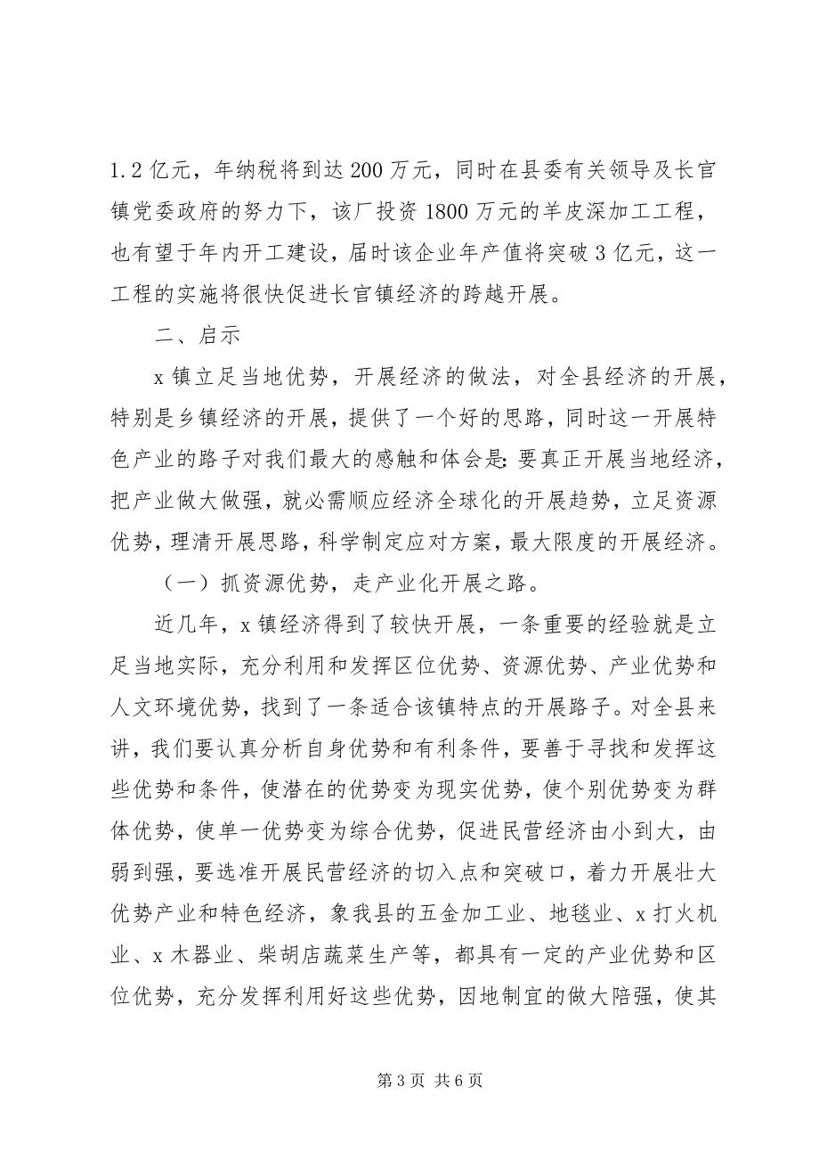 2023年对立足资源优势发展镇域经济的调查与思考.docx_第3页