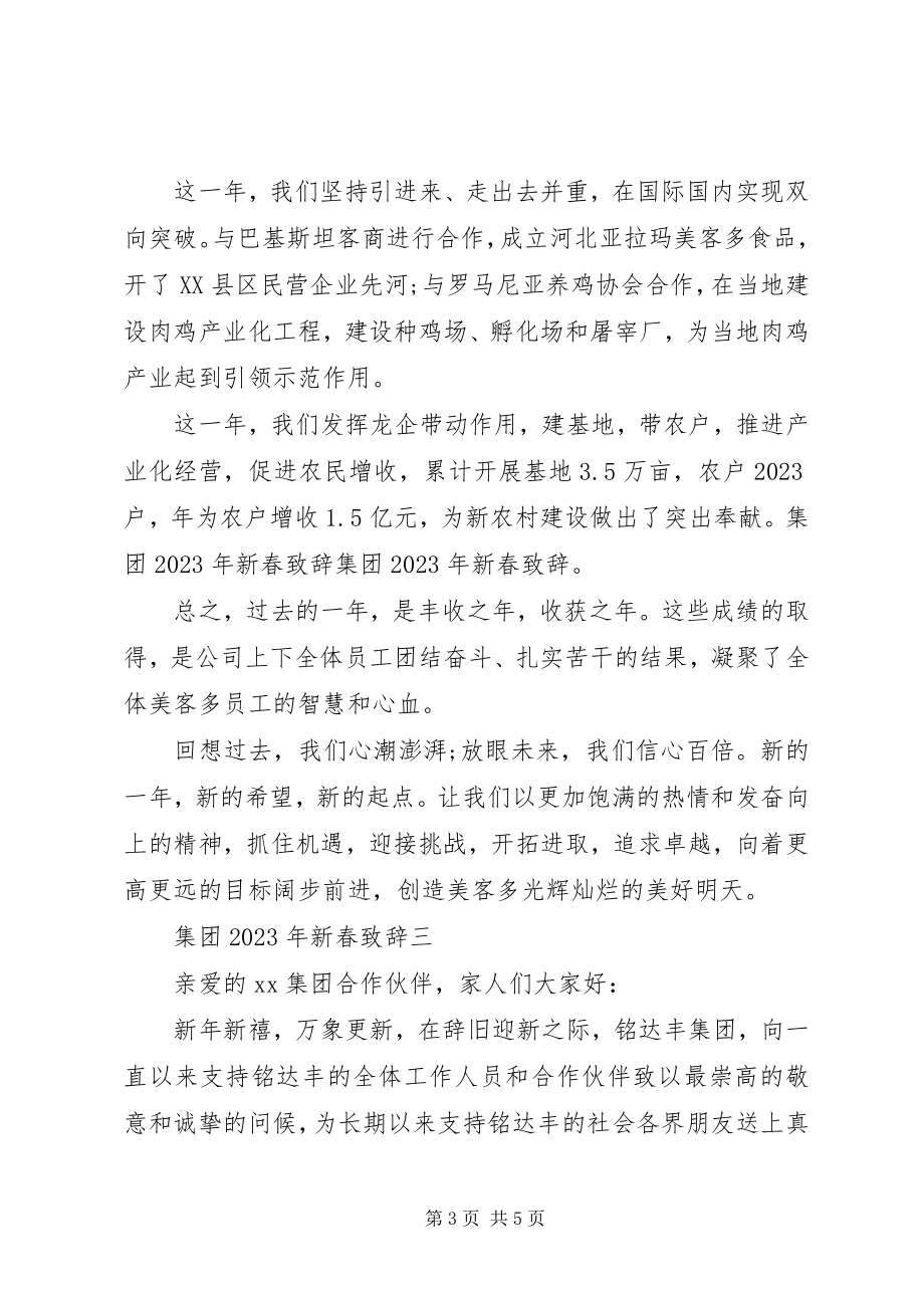 2023年集团新春致辞3篇.docx_第3页