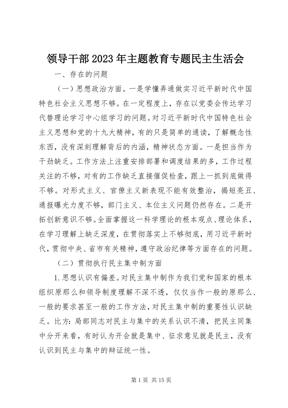 2023年领导干部主题教育专题民主生活会.docx_第1页