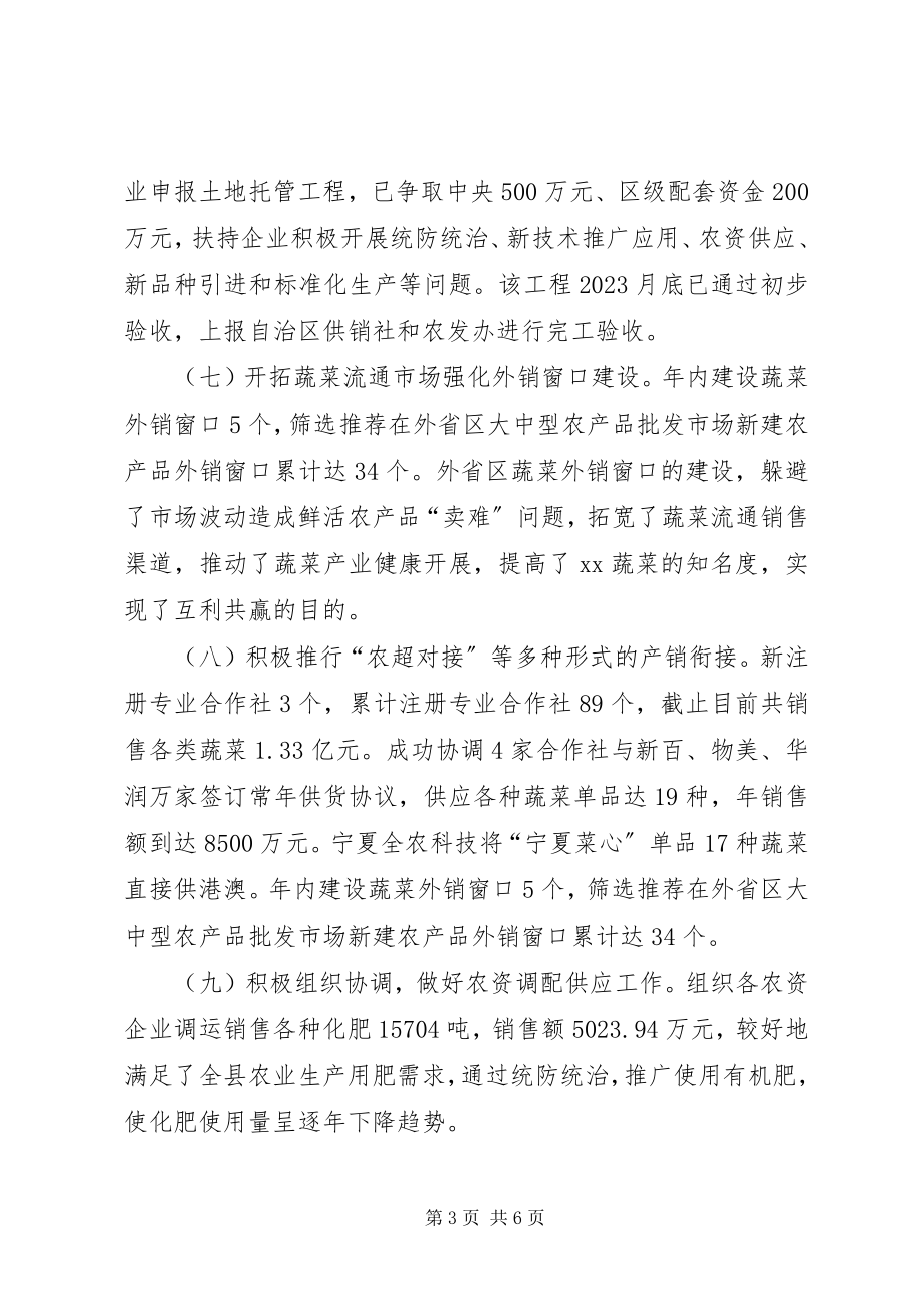 2023年供销社某年工作总结暨某年工作思路.docx_第3页