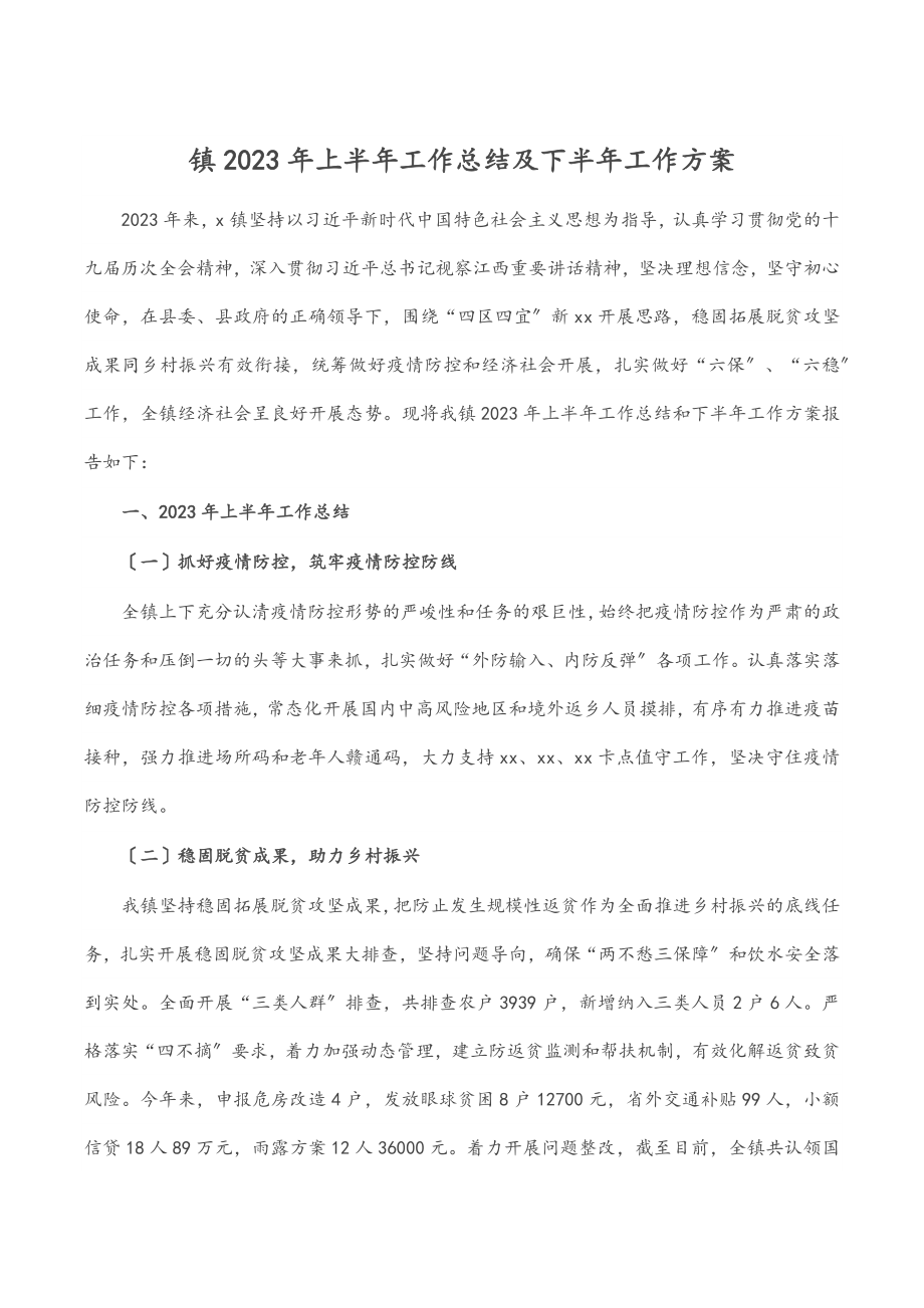 镇上半年工作总结及下半年工作计划范文.docx_第1页