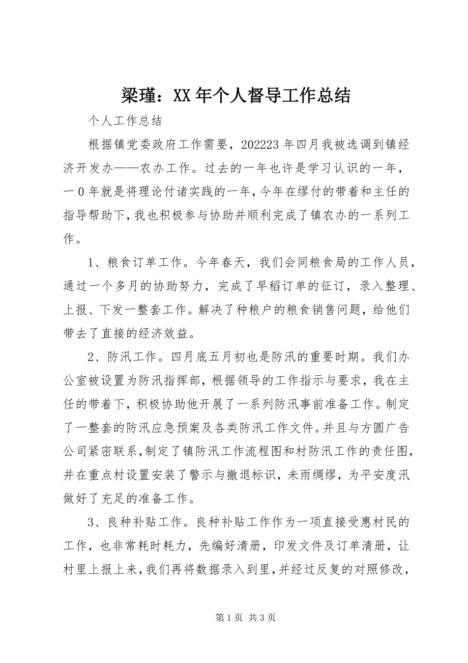 2023年梁瑾个人督导工作总结.docx_第1页