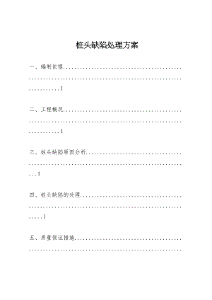 2023年桩头缺陷处理方案.doc