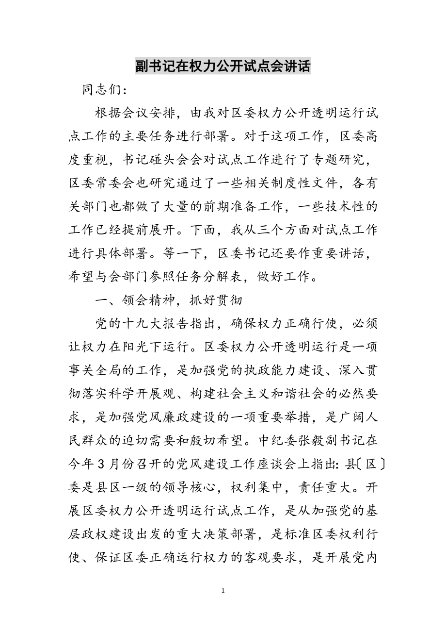 2023年副书记在权力公开试点会讲话范文.doc_第1页