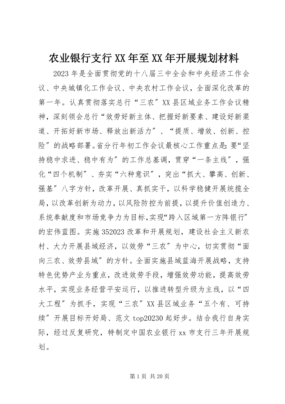 2023年农业银行支行至发展规划材料.docx_第1页