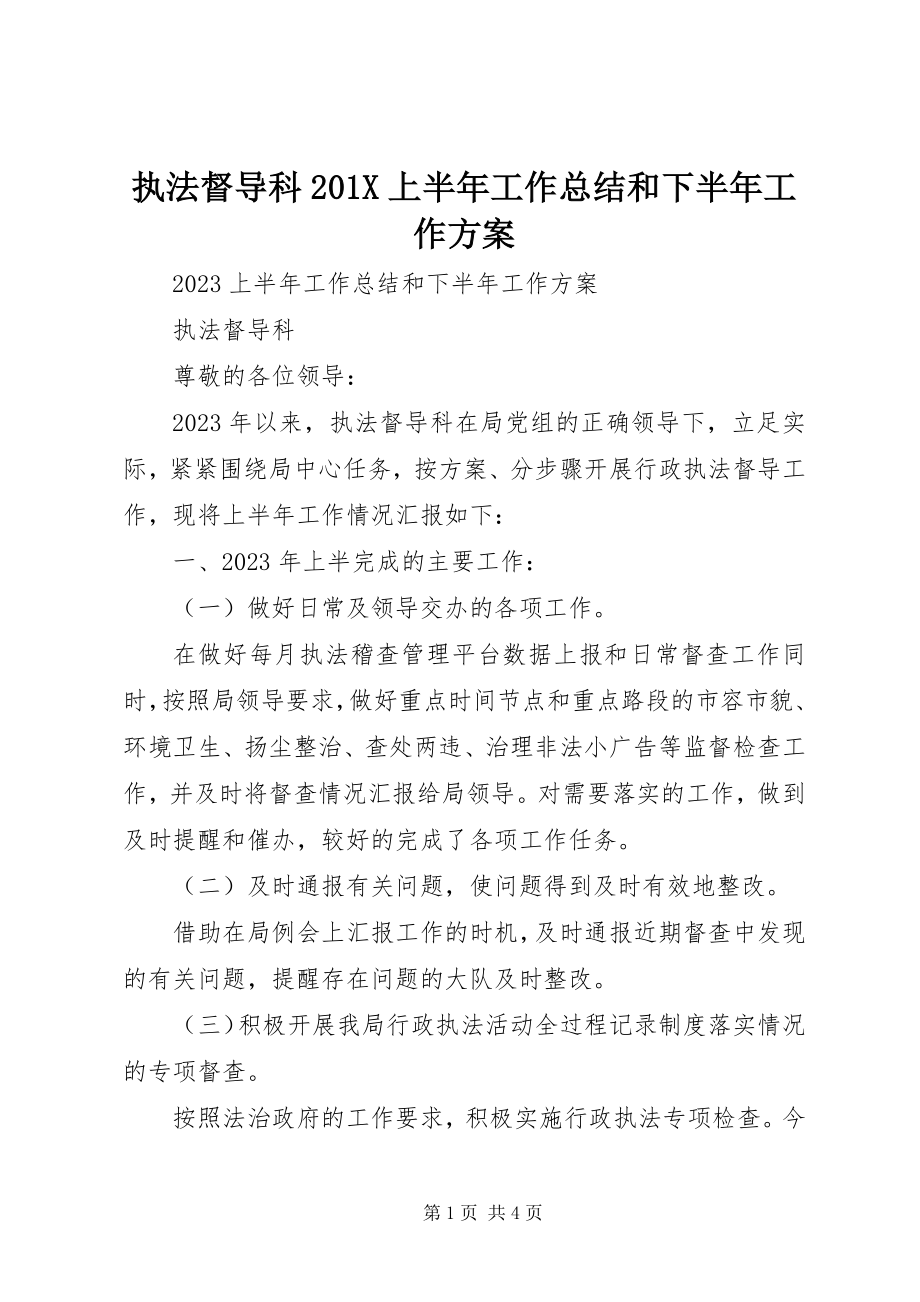 2023年执法督导科上半年工作总结和下半年工作计划.docx_第1页