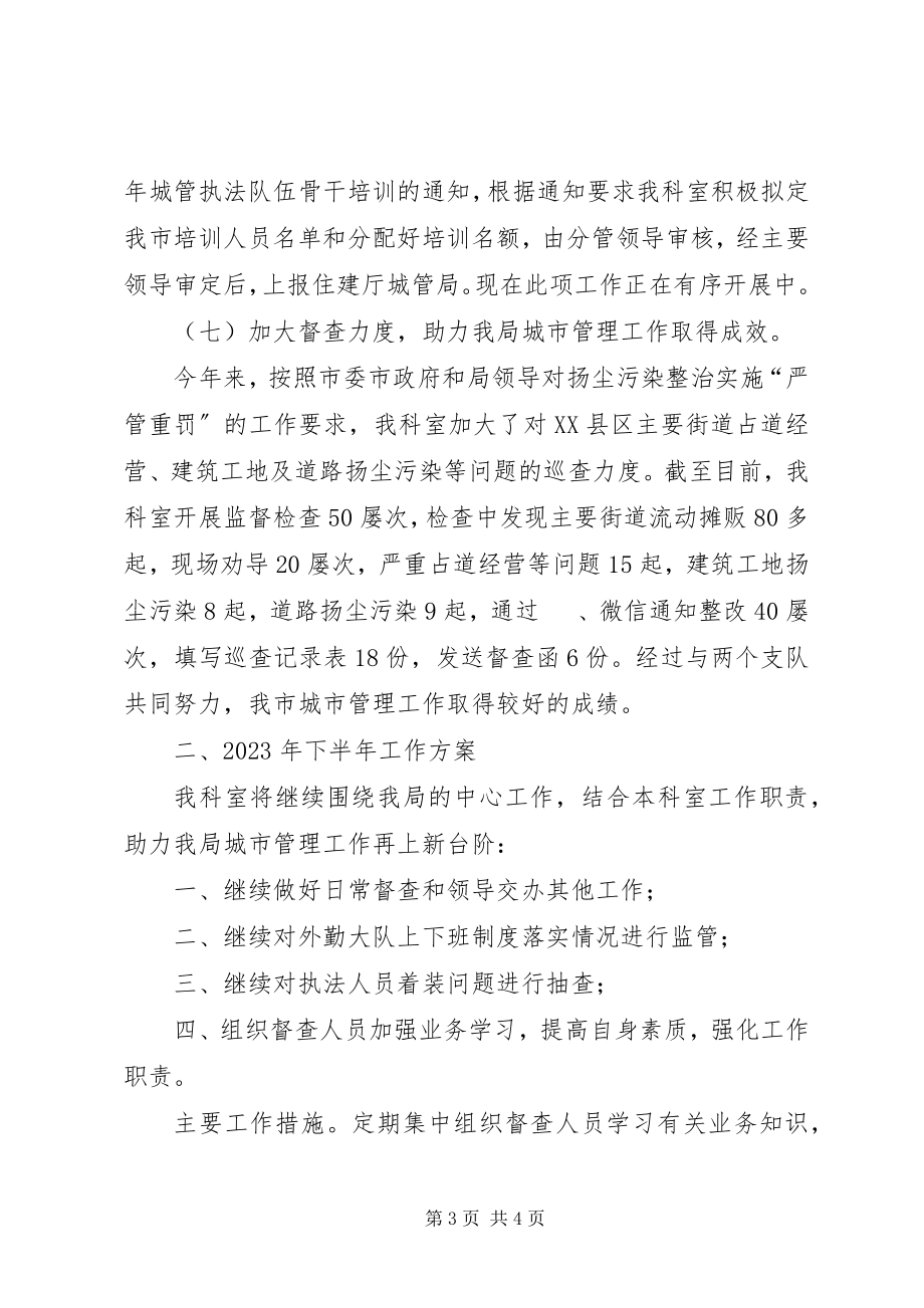 2023年执法督导科上半年工作总结和下半年工作计划.docx_第3页