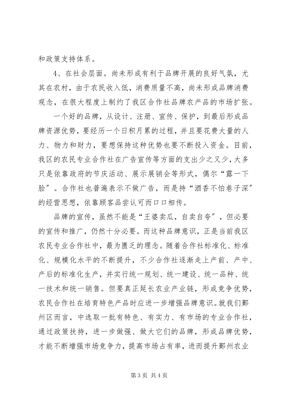 2023年加强农民专业合作社品牌意识的思考.docx_第3页