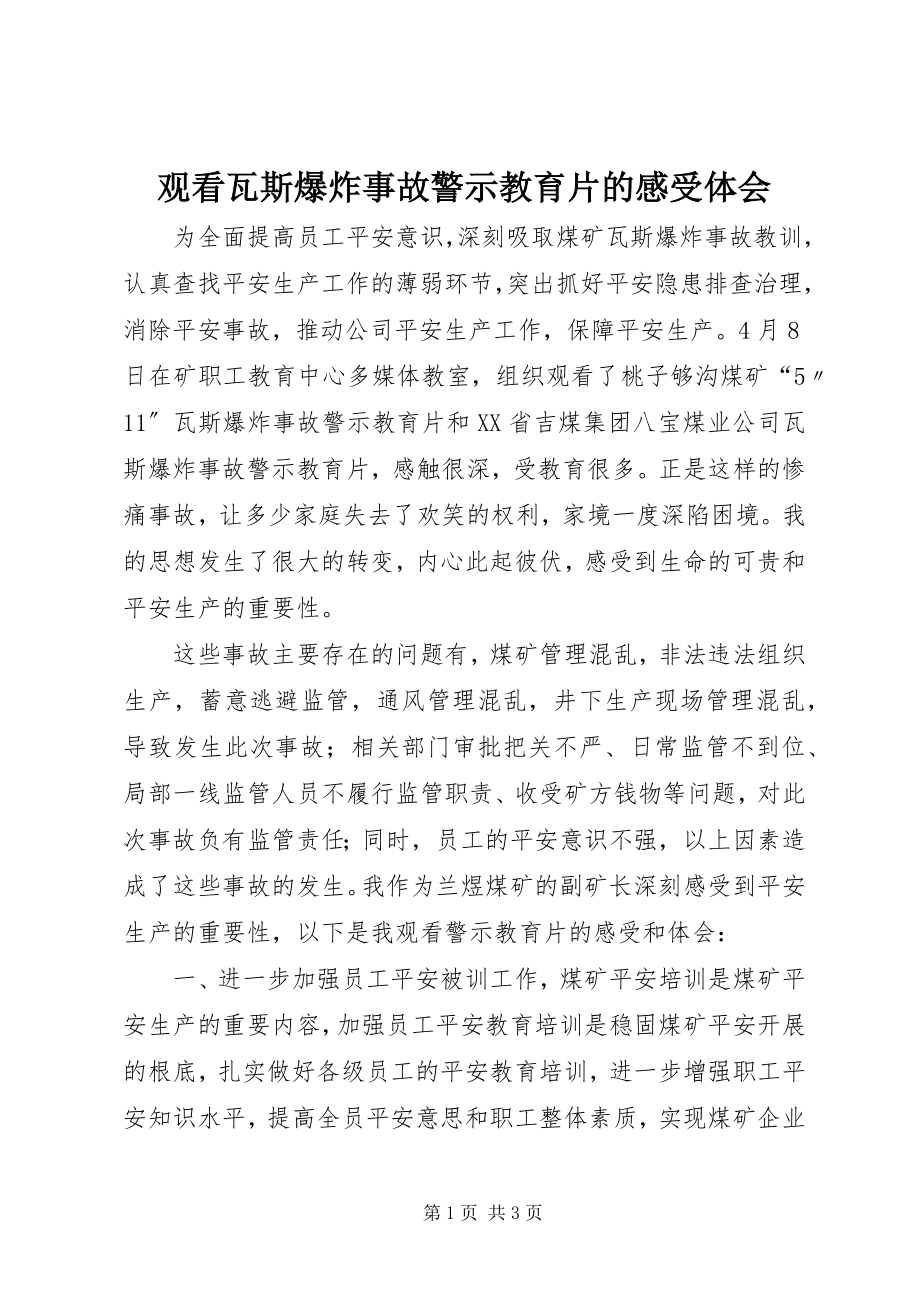 2023年观看瓦斯爆炸事故警示教育片的感受体会.docx_第1页