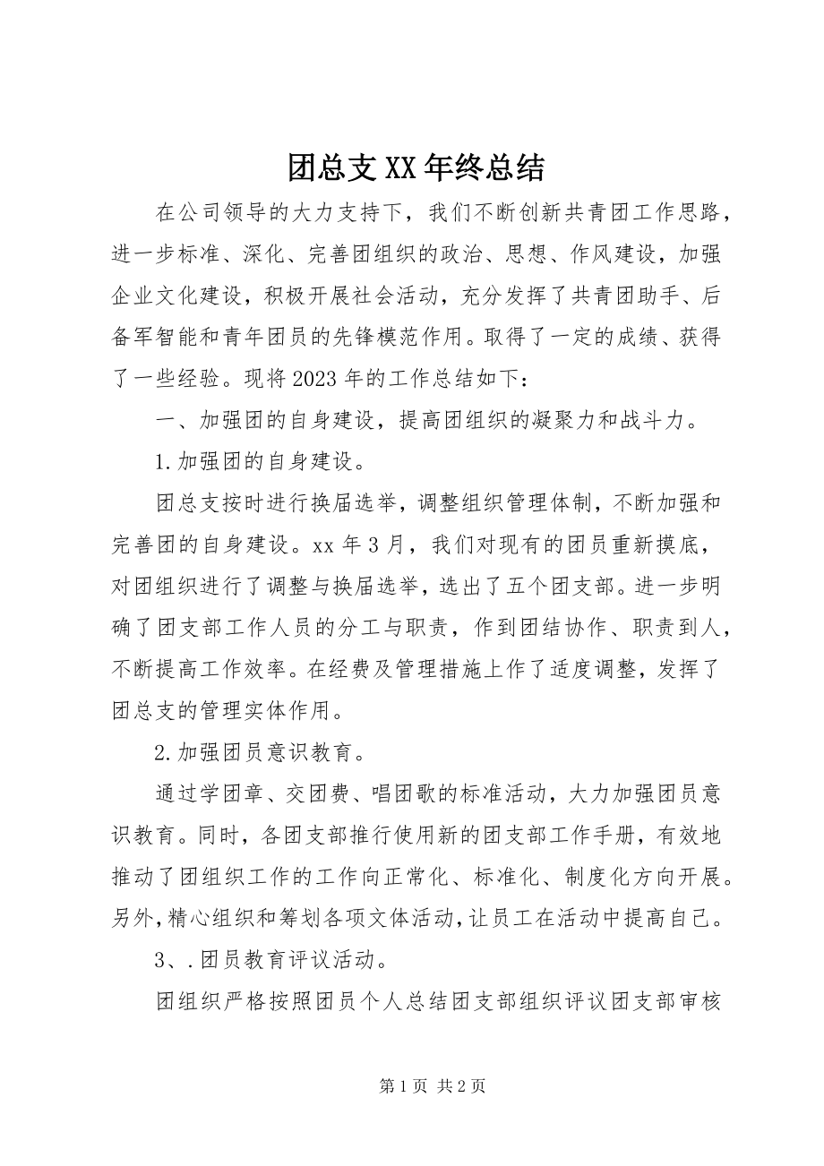 2023年团总支终总结.docx_第1页