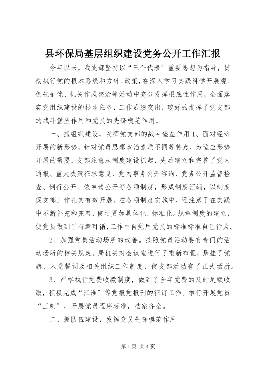 2023年县环保局基层组织建设党务公开工作汇报.docx_第1页